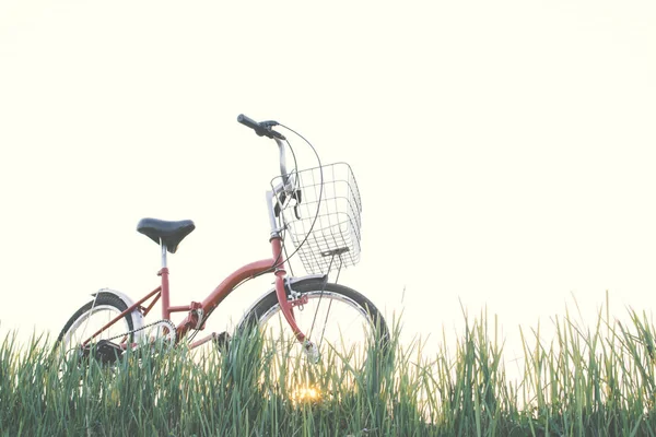 Hipster-Fahrrad auf der Wiese, Konzeptreise, Hipster-Ton — Stockfoto