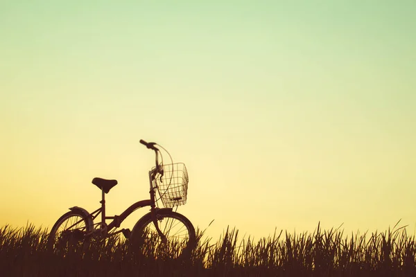 Silhouette of bicycle on grass with the sky sunset — Stock Photo, Image