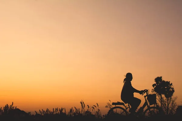 Silhouette di bicicletta su erba con il tramonto del cielo — Foto Stock