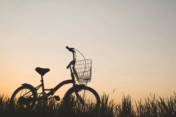 Silhouette de vélo sur herbe avec le coucher du soleil du ciel — Photo