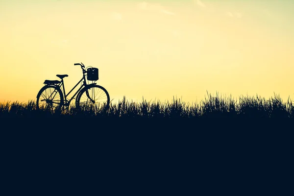 Silueta de bicicleta vieja sobre hierba con la puesta de sol del cielo, color de — Foto de Stock