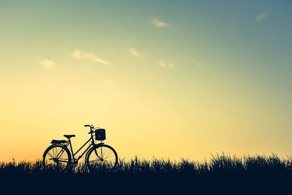 Silhouette de vieux vélo sur herbe avec le coucher de soleil du ciel, couleur de — Photo