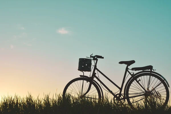 Silueta de bicicleta vieja sobre hierba con la puesta de sol del cielo — Foto de Stock