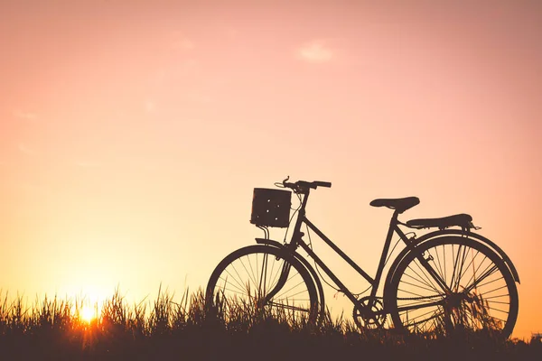 오래 된 잔디 하늘 일몰에 자전거 실루엣 — 스톡 사진