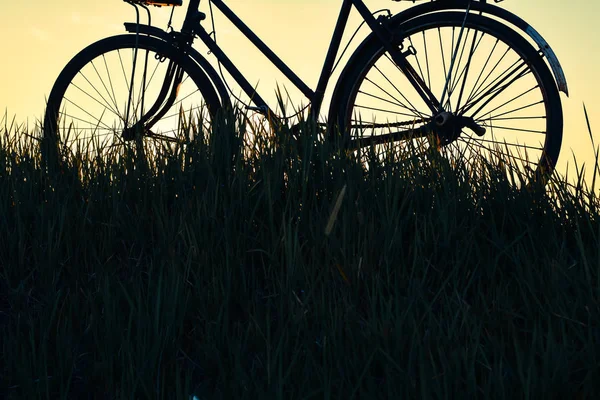 Силуэт старого велосипеда на траве с закатом неба — стоковое фото