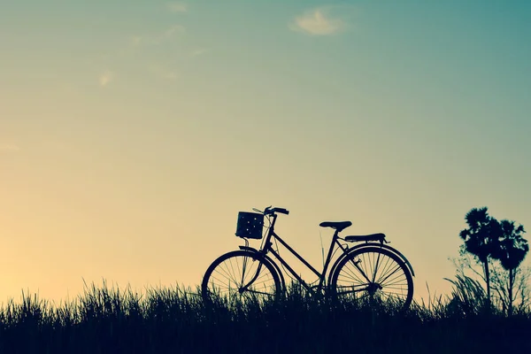 Silhouette de vieux vélo sur herbe avec le coucher de soleil du ciel — Photo