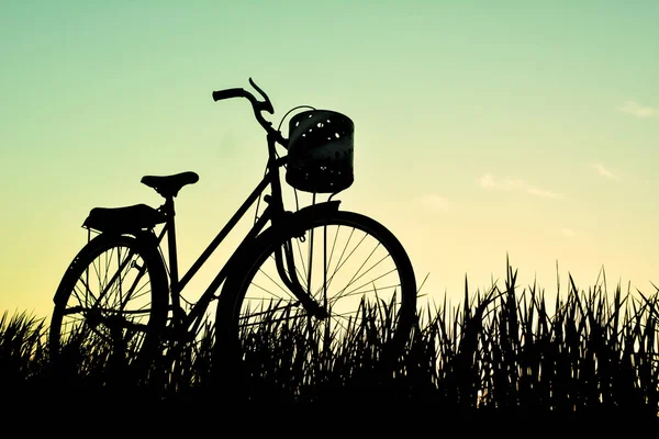 A régi sziluett kerékpár a fű, az ég naplemente — Stock Fotó