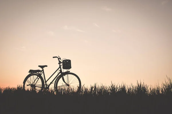 Silhouette de vieux vélo sur herbe avec le coucher de soleil du ciel — Photo