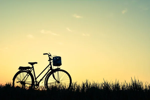 Silhouette de vieux vélo sur herbe avec le coucher de soleil du ciel — Photo