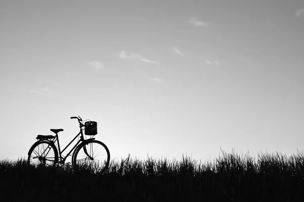 Silhouette de vieux vélo sur herbe avec le coucher de soleil du ciel — Photo