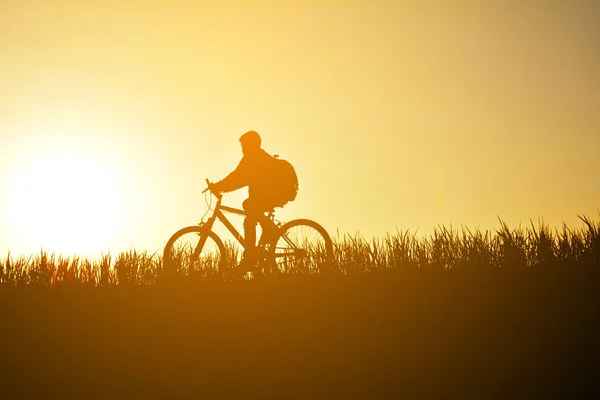 Silhouette of boy with bicycel on grass field at the sky sunset,