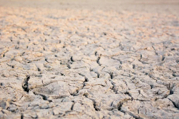 Fondo seco grieta, concepto de sequía —  Fotos de Stock