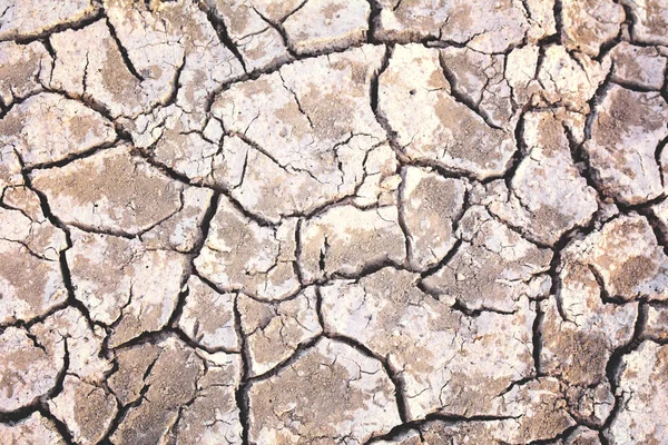 Crack dry background, concept drought — Stock Photo, Image