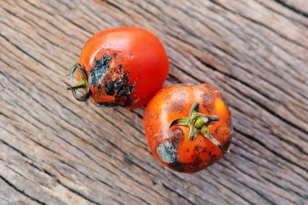 Rotte groep van tomaat op oude houten achtergrond — Stockfoto