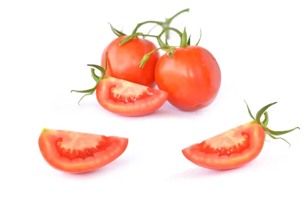 Hoja de tomate sobre fondo blanco — Foto de Stock