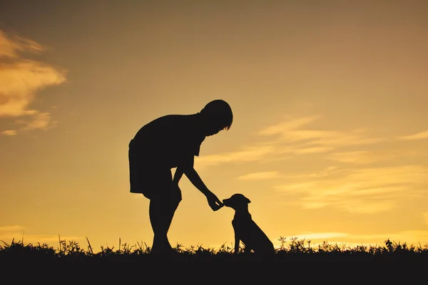 Küçük köpekle oynamayı siluet çocuk — Stok fotoğraf