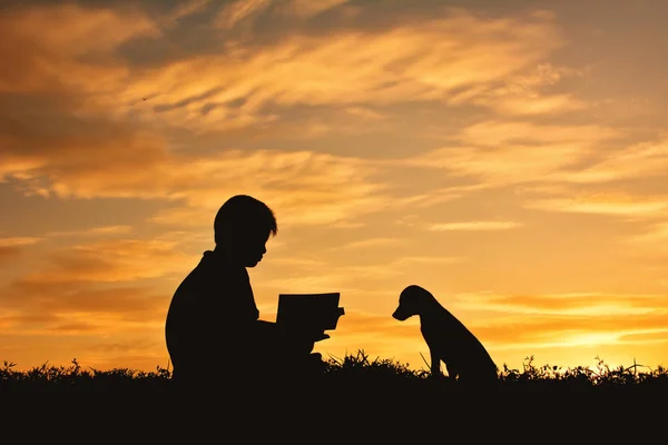 Gönüllülük a kitap ile küçük köpek siluet çocuk — Stok fotoğraf