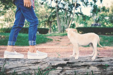 Mutlu kız ile doğa arka planda küçük köpek oynama