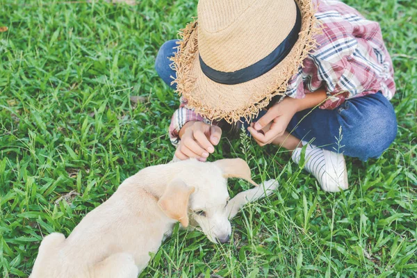 Ευτυχισμένος κορίτσι παίζει με το μικρό σκυλί στο παρασκήνιο της φύσης — Φωτογραφία Αρχείου