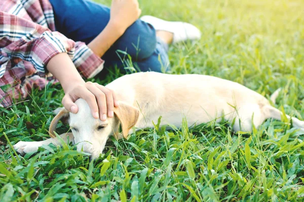 Ragazza felice giocando con cagnolino in fondo alla natura — Foto Stock