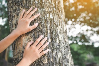 Hipster sesi seçici yumuşak odak kız ve büyük ağaç rengini