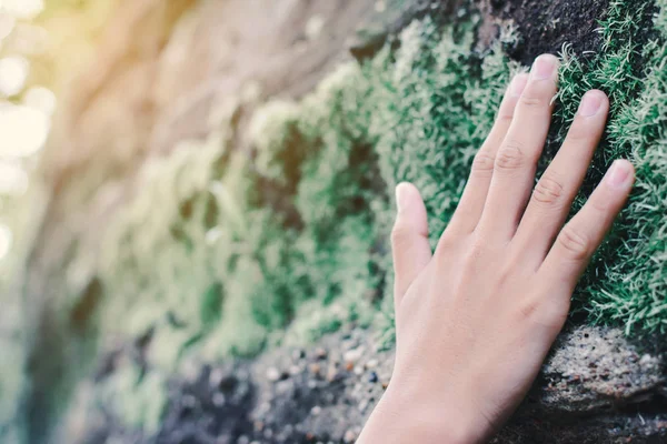 De cerca la mano de la chica tocando mos en piedra — Foto de Stock