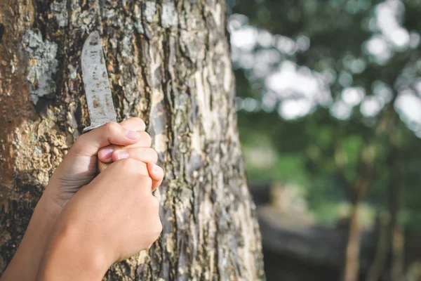 Nära håll händer som håller kniven på stora träd i skogen — Stockfoto