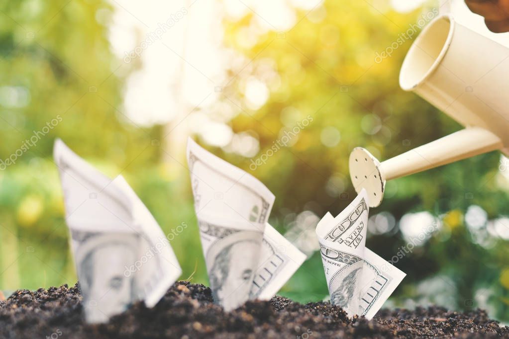 Hand hold watering planting dollar bill on soil