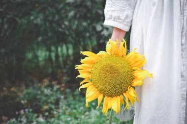 Hipster kadınlar el holding ayçiçeği 