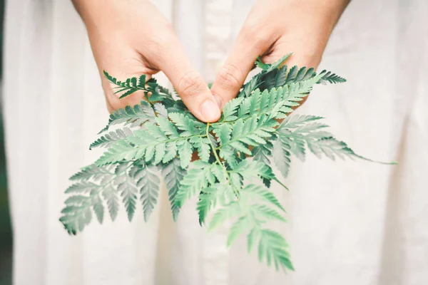 Manos hembra sosteniendo hojas de helecho verde — Foto de Stock