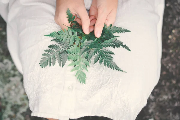 Manos hembra sosteniendo hojas de helecho verde — Foto de Stock