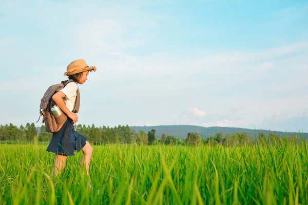Boldog lány hátizsák, zöld mezőben — Stock Fotó