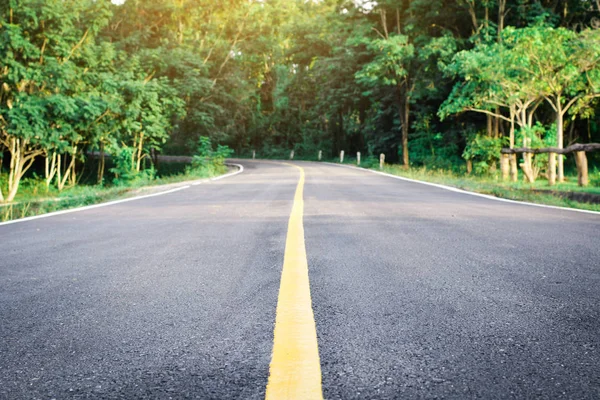 Yol ve ağaç arka plan