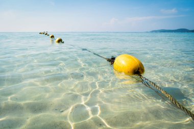 Güzel deniz sarı renkte