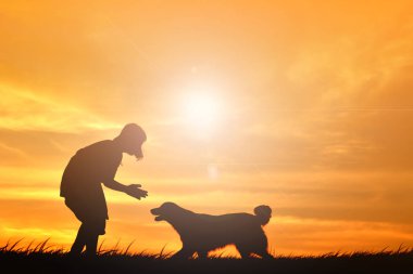 Siluet sevimli kız ve gökyüzü günbatımı oynayan köpek 