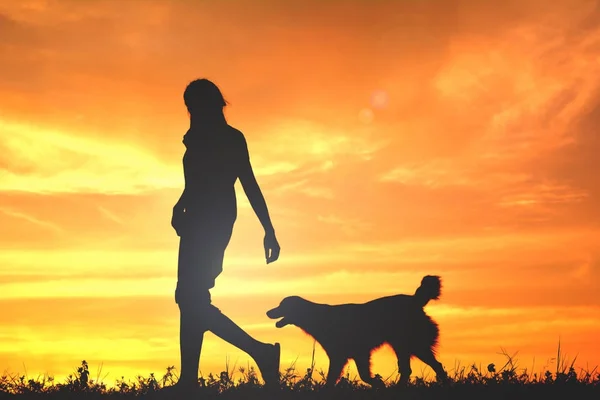 Siluet kadın ve gökyüzü günbatımı oynayan köpek — Stok fotoğraf