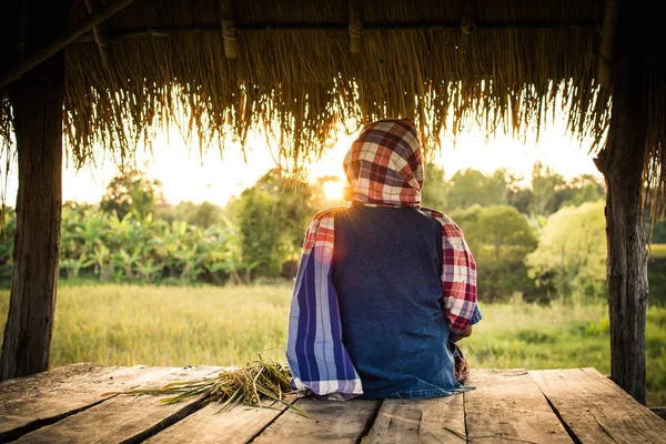 Vieja agricultora sentada en cabaña en campo de arroz, selectiva y — Foto de Stock