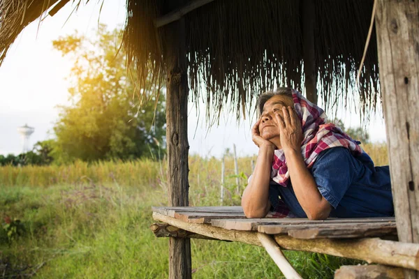 Oude Vrouw Boer Achter Cabine Rijst Veld Selectieve Zachte Focus — Stockfoto