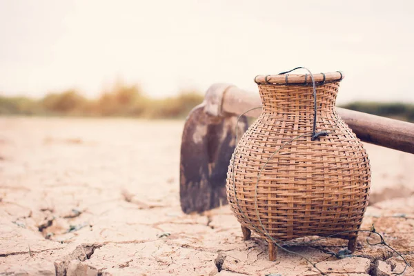 Spade Rieten Droge Grond Spleet Concept Droogte — Stockfoto