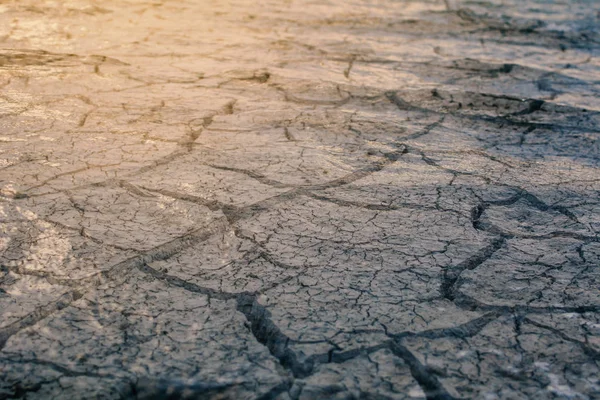 Crisi Dell Acqua Concetto Siccità — Foto Stock