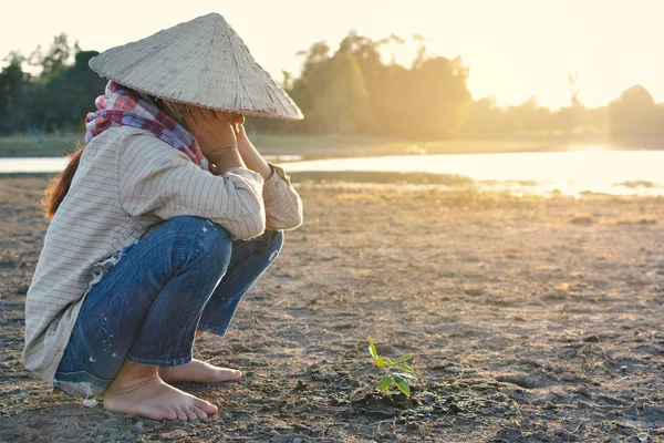 Aziatische Vrouw Groen Plantje Gebarsten Droge Grond Concept Droogte Crisis — Stockfoto