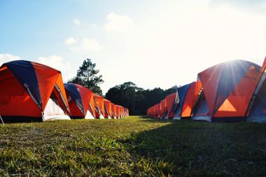 Kamp ve renkli çadırları'ta tatil yolculukta dağ üstüne ağaç orman kış sezonu, Phu Kradueng Milli Parkı, Tayland