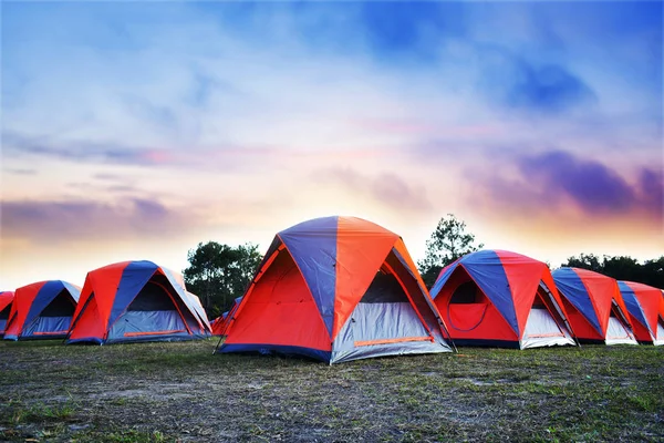 Кемпинг Красочные Палатки Вершине Горного Путешествия Отпуск Сосновом Лесу Зимний — стоковое фото