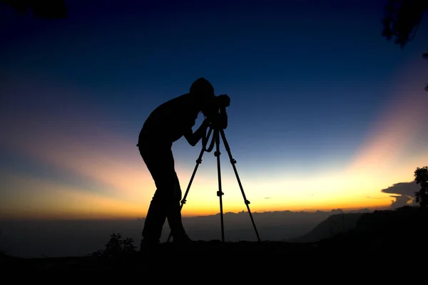 Silueta Fotógrafo Pinos Bosque Con Luz Durante Puesta Del Sol — Foto de Stock