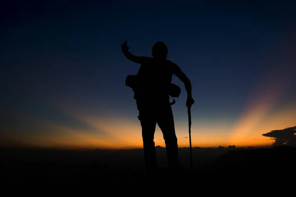 Silueta Hombre Senderismo Cima Los Árboles Montaña Bosque Con Luz — Foto de Stock