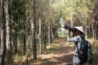 Yolculuk sırasında çam ağacı ormanda kamera ile fotoğrafçı