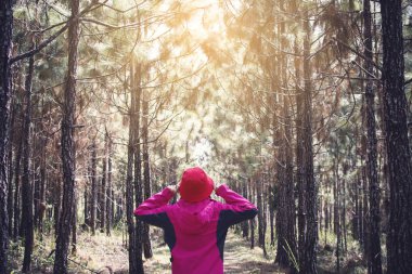 Orman arka plan, tatil kavramı seyahat, vintage sesi ve yumuşak odak rengini Relax zamanında hipster kadınlarda