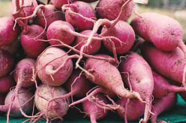 Taze tatlı patates piyasa tablo grubu