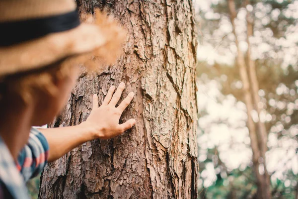 Homem Tocando Grande Cor Árvore Tom Hipster Foco Suave Seletivo — Fotografia de Stock