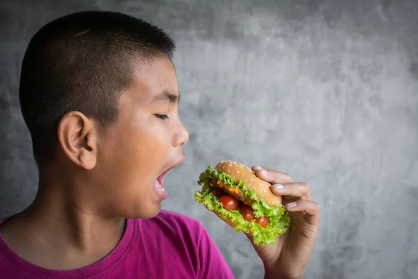 Portre Asya Şişko Hamburger Kavram Sağlıklı Yeme Keyfini Kilo Seçici — Stok fotoğraf